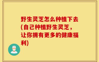 野生灵芝怎么种植下去(自己种植野生灵芝，让你拥有更多的健康福利)