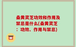 桑黄灵芝功效和作用及禁忌是什么(桑黄灵芝：功效、作用与禁忌)