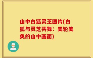 山中白狐灵芝图片(白狐与灵芝共舞：美轮美奂的山中画面)