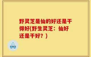野灵芝是仙的好还是干得好(野生灵芝：仙好还是干好？)