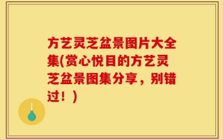 方艺灵芝盆景图片大全集(赏心悦目的方艺灵芝盆景图集分享，别错过！)