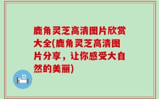 鹿角灵芝高清图片欣赏大全(鹿角灵芝高清图片分享，让你感受大自然的美丽)