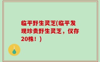 临平野生灵芝(临平发现珍贵野生灵芝，仅存20株！)
