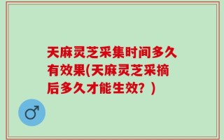 天麻灵芝采集时间多久有效果(天麻灵芝采摘后多久才能生效？)