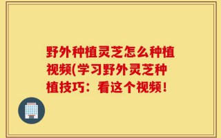野外种植灵芝怎么种植视频(学习野外灵芝种植技巧：看这个视频！