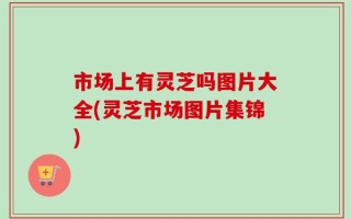 市场上有灵芝吗图片大全(灵芝市场图片集锦)