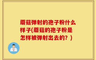 蘑菇弹射的孢子粉什么样子(蘑菇的孢子粉是怎样被弹射出去的？)