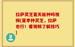 拉萨灵芝夏天能种吗视频(夏季种灵芝，拉萨也行！看视频了解技巧)