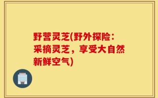 野营灵芝(野外探险：采摘灵芝，享受大自然新鲜空气)