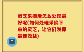 灵芝采摘后怎么处理最好呢(如何处理采摘下来的灵芝，让它们发挥最佳效益)