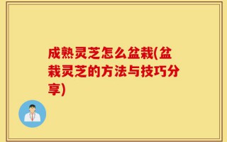 成熟灵芝怎么盆栽(盆栽灵芝的方法与技巧分享)