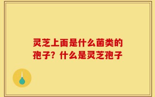 灵芝上面是什么菌类的孢子？什么是灵芝孢子
