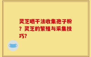 灵芝晒干法收集孢子粉？灵芝的繁殖与采集技巧？