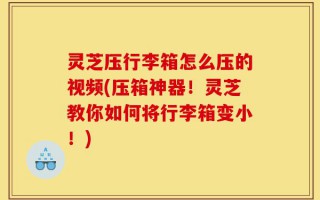 灵芝压行李箱怎么压的视频(压箱神器！灵芝教你如何将行李箱变小！)