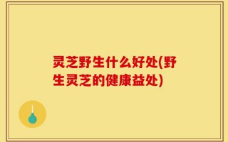 灵芝野生什么好处(野生灵芝的健康益处)