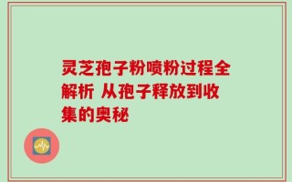 灵芝孢子粉喷粉过程全解析 从孢子释放到收集的奥秘