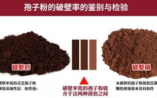灵芝孢子粉破壁有必要吗？为什么要选破壁灵芝孢子粉？