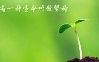 为什么说灵芝孢子粉要坚持吃才会有 提高免疫力 的作用？