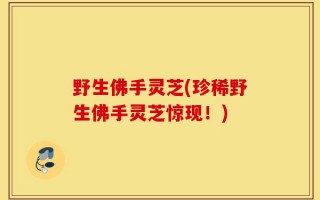 野生佛手灵芝(珍稀野生佛手灵芝惊现！)