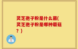 灵芝孢子粉是什么菌(灵芝孢子粉是哪种蘑菇？)