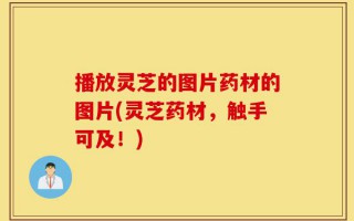 播放灵芝的图片药材的图片(灵芝药材，触手可及！)
