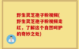 野生灵芝孢子粉视频(野生灵芝孢子粉视频走红，了解这个自然呵护的奇妙之处)