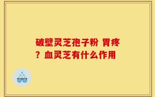 破壁灵芝孢子粉 胃疼？血灵芝有什么作用