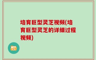 培育巨型灵芝视频(培育巨型灵芝的详细过程视频)