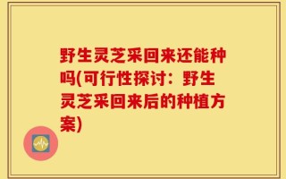 野生灵芝采回来还能种吗(可行性探讨：野生灵芝采回来后的种植方案)