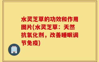 水灵芝草的功效和作用图片(水灵芝草：天然抗氧化剂，改善睡眠调节免疫)