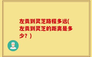 左贡到灵芝路程多远(左贡到灵芝的距离是多少？)