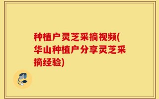 种植户灵芝采摘视频(华山种植户分享灵芝采摘经验)