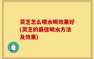 灵芝怎么喂水喝效果好(灵芝的最佳喝水方法及效果)