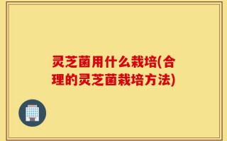 灵芝菌用什么栽培(合理的灵芝菌栽培方法)