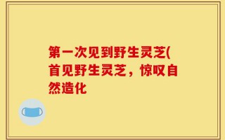第一次见到野生灵芝(首见野生灵芝，惊叹自然造化