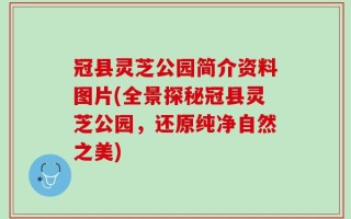 冠县灵芝公园简介资料图片(全景探秘冠县灵芝公园，还原纯净自然之美)