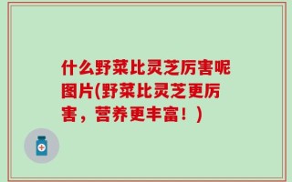 什么野菜比灵芝厉害呢图片(野菜比灵芝更厉害，营养更丰富！)
