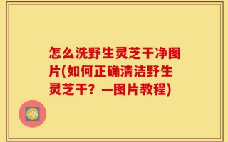 怎么洗野生灵芝干净图片(如何正确清洁野生灵芝干？—图片教程)