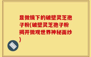 显微镜下的破壁灵芝孢子粉(破壁灵芝孢子粉揭开微观世界神秘面纱)