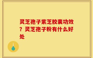 灵芝孢子紫芝胶囊功效？灵芝孢子粉有什么好处