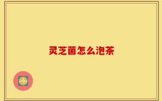 灵芝菌怎么泡茶