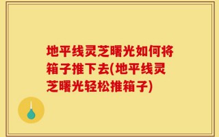 地平线灵芝曙光如何将箱子推下去(地平线灵芝曙光轻松推箱子)