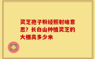 灵芝孢子粉经照射啥意思？长白山种植灵芝的大棚高多少米