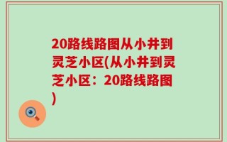 20路线路图从小井到灵芝小区(从小井到灵芝小区：20路线路图)