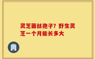 灵芝菌丝孢子？野生灵芝一个月能长多大