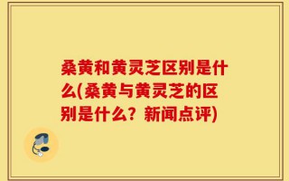 桑黄和黄灵芝区别是什么(桑黄与黄灵芝的区别是什么？新闻点评)
