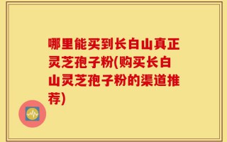 哪里能买到长白山真正灵芝孢子粉(购买长白山灵芝孢子粉的渠道推荐)