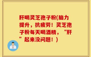 肝喝灵芝孢子粉(脑力提升，抗疲劳！灵芝孢子粉每天喝酒精，“肝”起来没问题！)
