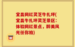 宜昌网红灵芝牛扎坪(宜昌牛扎坪灵芝景区：体验网红景点，醉美风光任你拍)