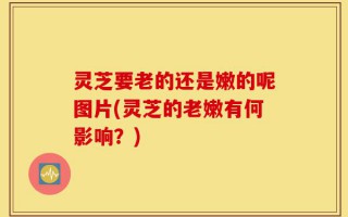 灵芝要老的还是嫩的呢图片(灵芝的老嫩有何影响？)